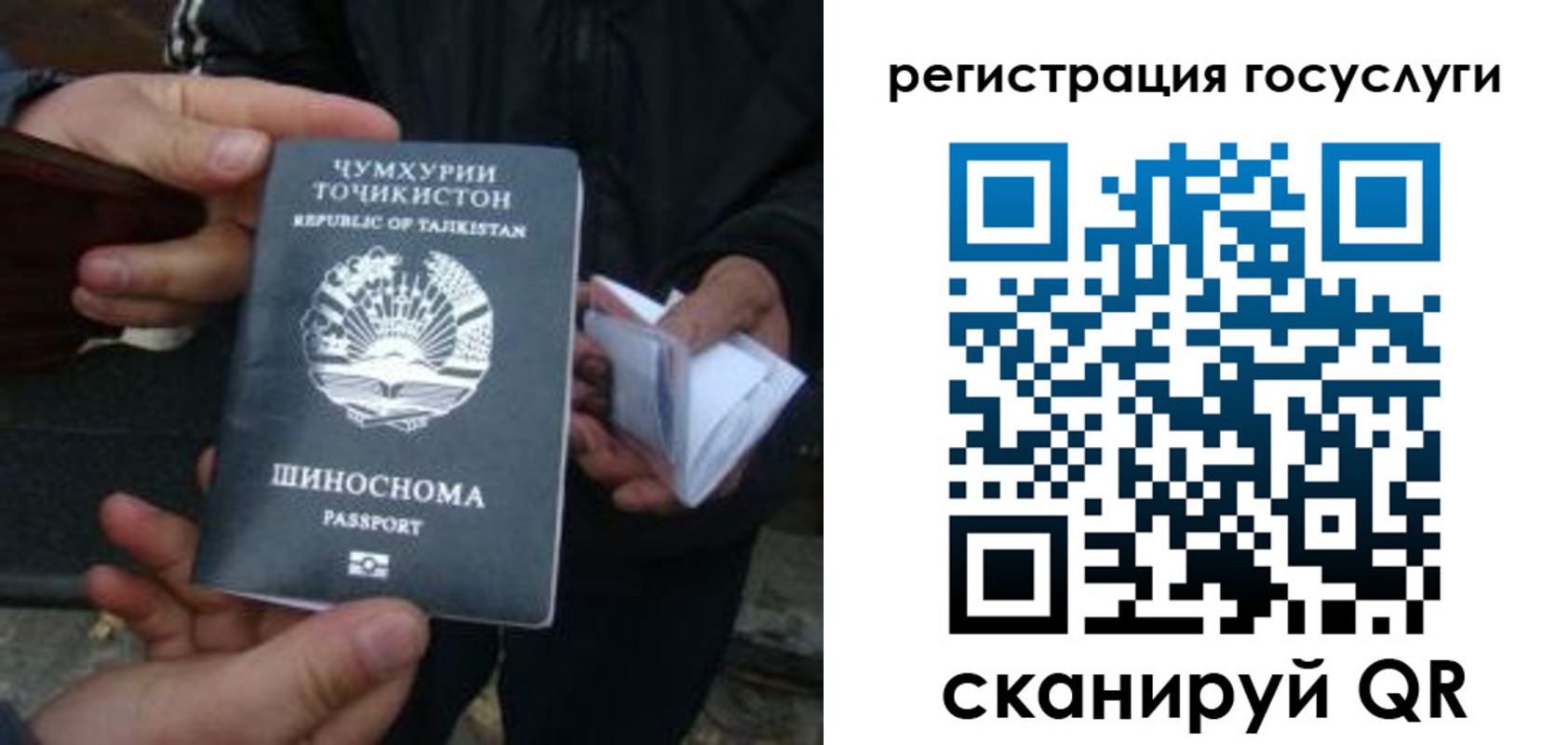 прописка регистрация в Тосно